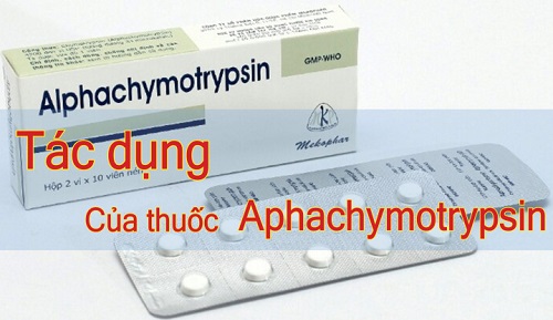 Thuốc alphachymotrypsin có tác dụng gì?