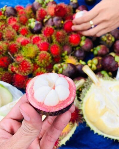 Từ miệt vườn miền Tây đến những viên thuốc Made in Vietnam