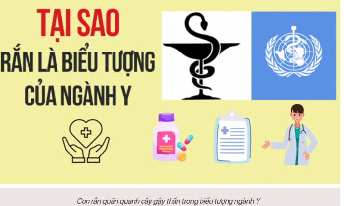 NHÌN THẤY CON RẮN, BẠN ĐANG NHÌN THẤY ĐIỀU GÌ?
