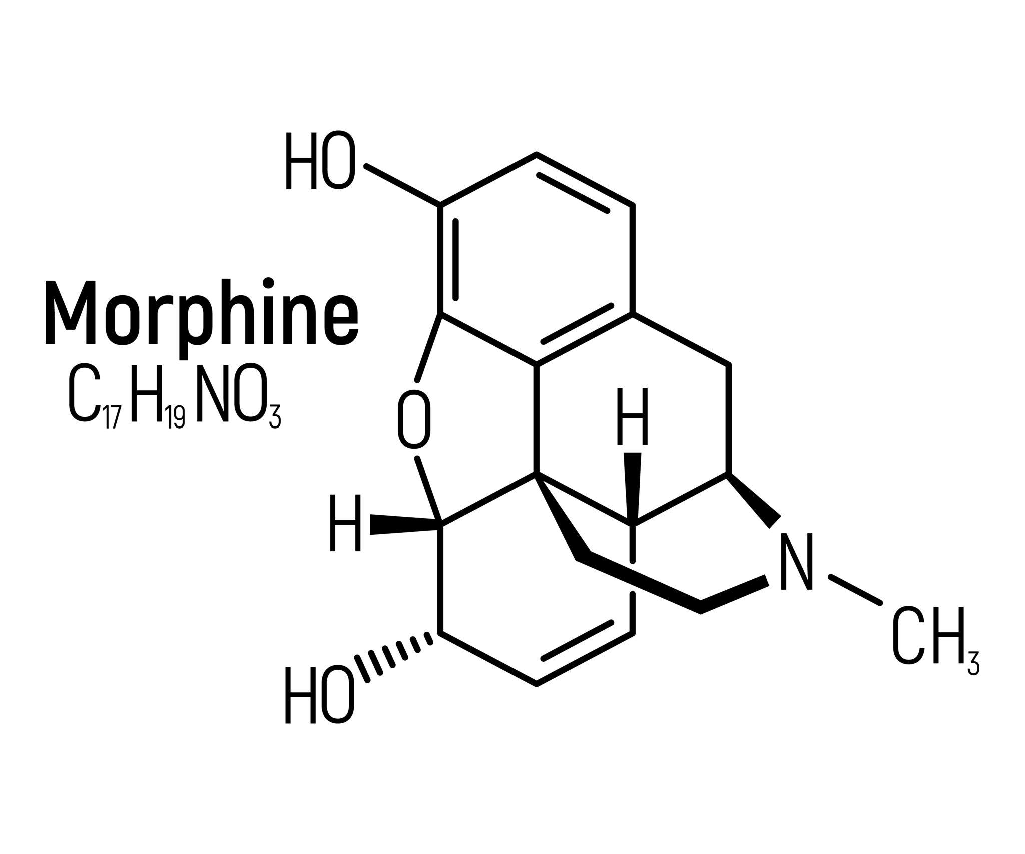 Cấu trúc hóa học Morphim